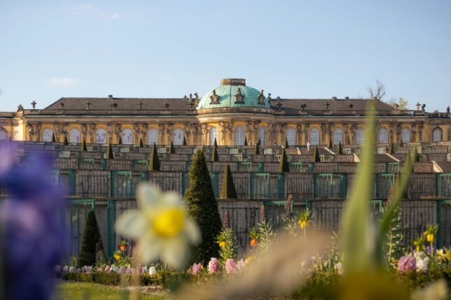 SEO für kleine Unternehmen in Potsdam